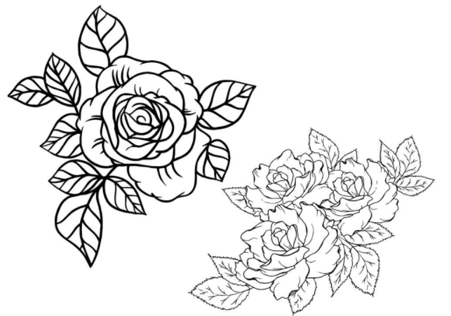 玫瑰花素描教程，讓你輕松學(xué)會玫瑰花的繪畫技法